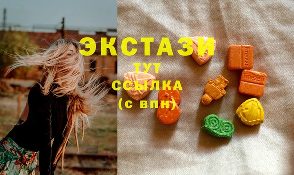 хмурый Аркадак