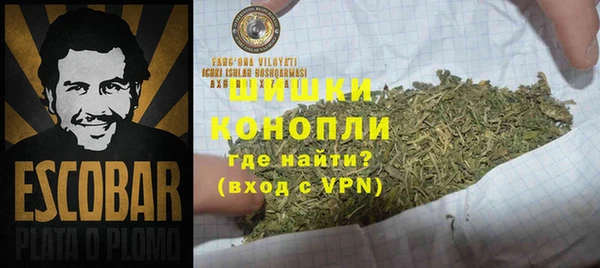 хмурый Аркадак