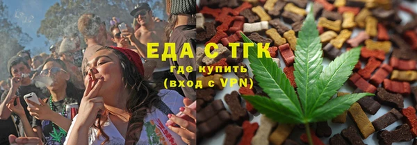 хмурый Аркадак