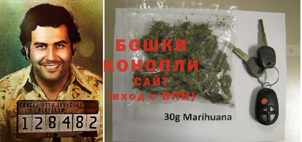 хмурый Аркадак