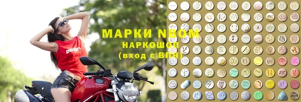 хмурый Аркадак
