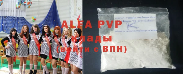 хмурый Аркадак