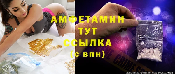 хмурый Аркадак