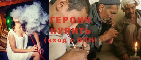 хмурый Аркадак