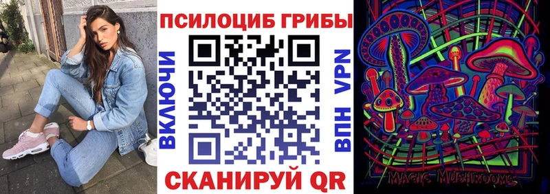 Псилоцибиновые грибы Psilocybe  МЕГА ссылки  Артёмовский 